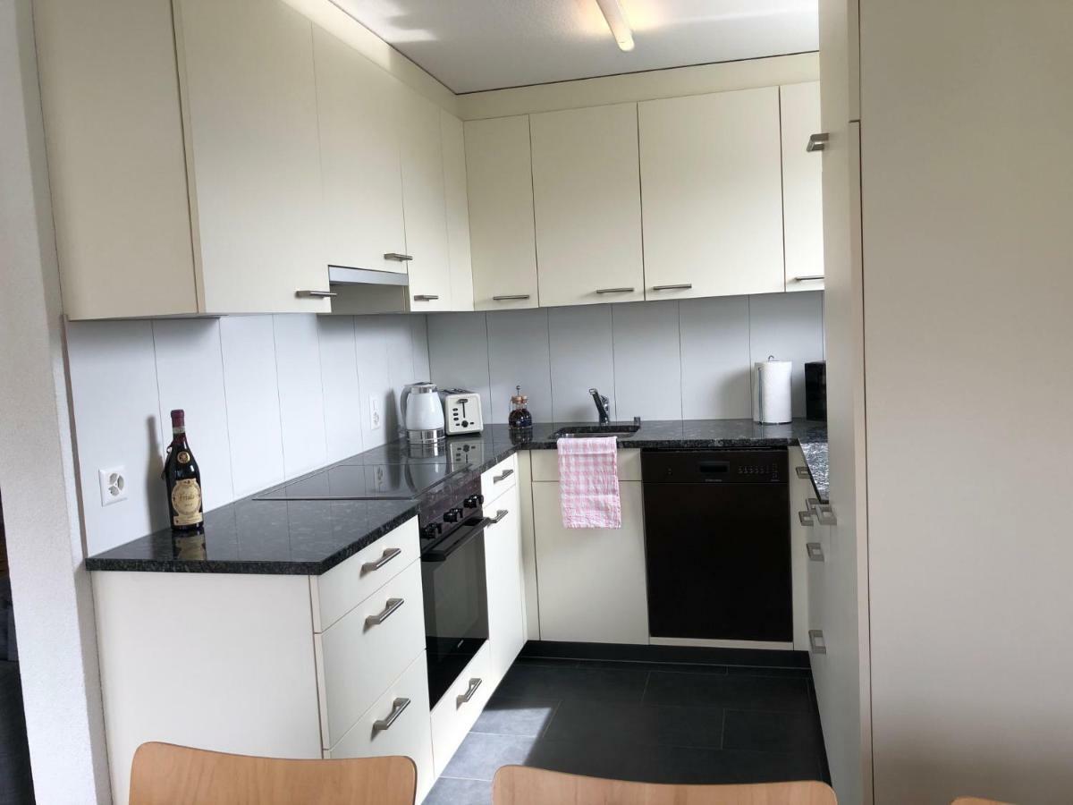 Local-Apartments Pilatus ルツェルン エクステリア 写真