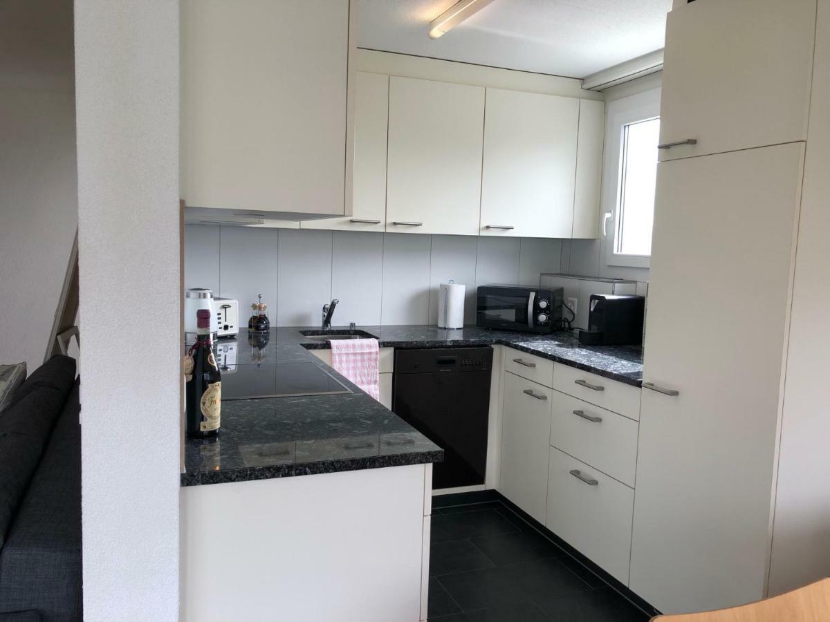 Local-Apartments Pilatus ルツェルン エクステリア 写真