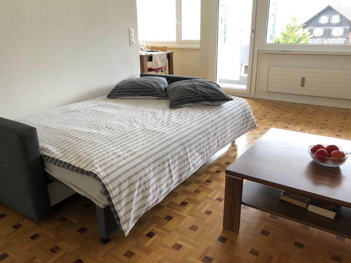 Local-Apartments Pilatus ルツェルン エクステリア 写真